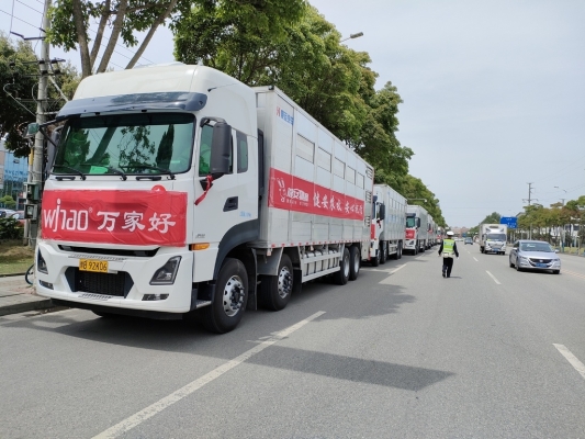 赤峰種豬繁育基地電話號碼-第1張圖片