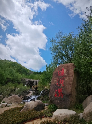 赤峰小綠包尋人電話號碼-第1張圖片