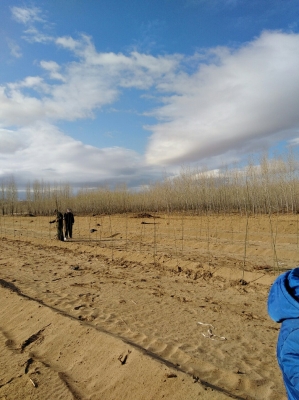 赤峰林西白穎慧診所電話號(hào)碼-第1張圖片