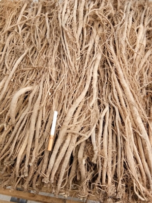 赤峰干貨收購電話號碼查詢地址-第1張圖片