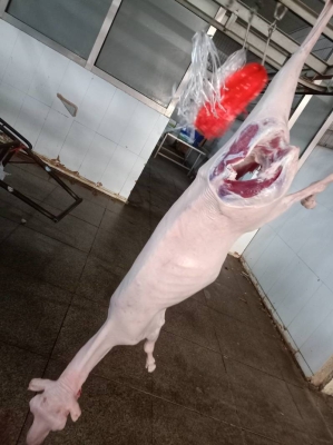 內(nèi)蒙古赤峰牛羊收購電話號碼-第1張圖片