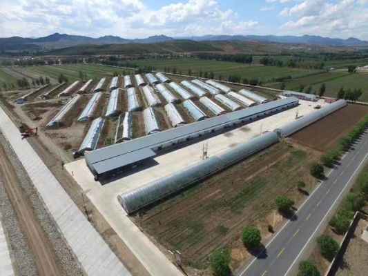 赤峰林西兒童樂園電話號碼-第1張圖片