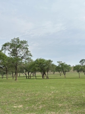 赤峰小野寺星緣酒店電話號碼-第1張圖片