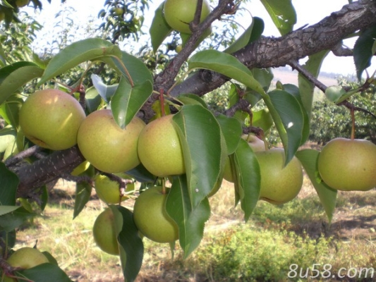 赤峰市喀喇沁旗編辦電話號碼-第1張圖片