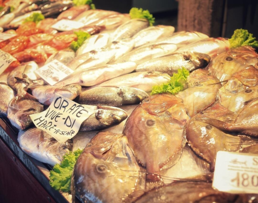 赤峰魚市場(chǎng)-第1張圖片