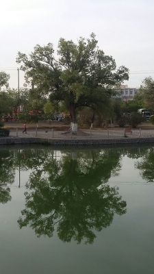 赤峰紅山區(qū)針灸館電話號碼-第1張圖片