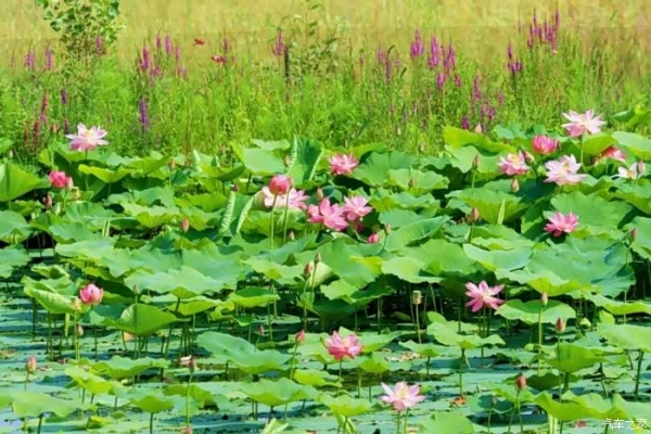 赤峰驕陽財(cái)務(wù)公司地址電話號碼-第1張圖片