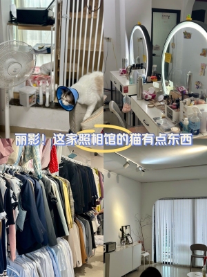 赤峰貓貓照相館地址電話號碼-第1張圖片