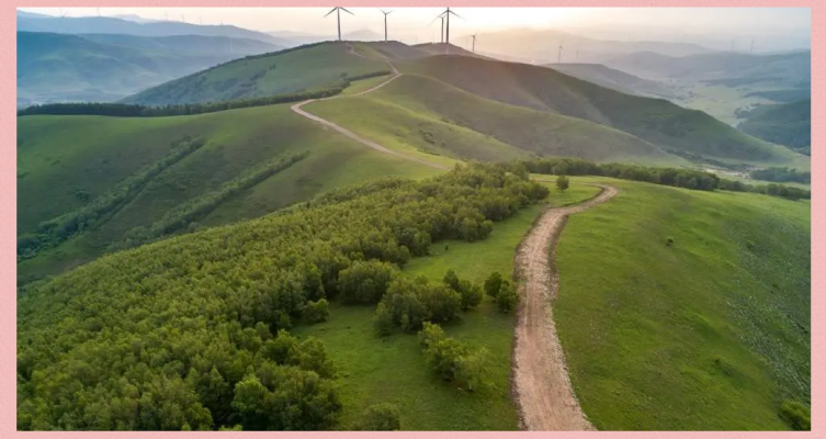 張北赤峰油瓜廠電話多少號-第1張圖片