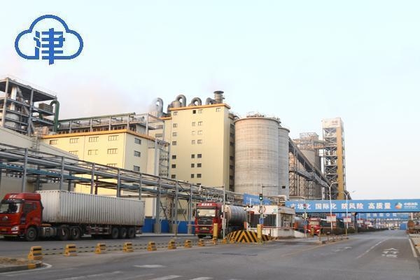 赤峰豆柏銷售公司電話地址查詢-第1張圖片