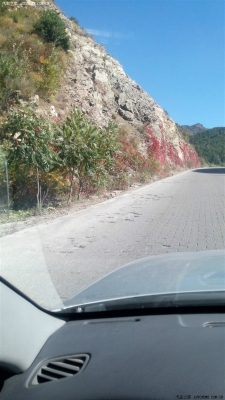 沈陽(yáng)至赤峰托運(yùn)部電話(huà)號(hào)碼-第1張圖片