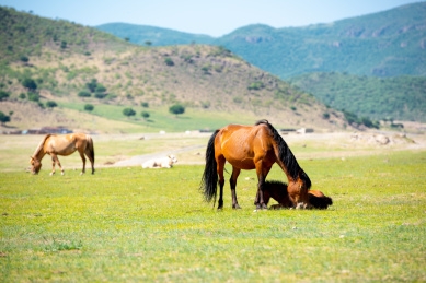 赤峰尚冉美發(fā)電話地址查詢-第1張圖片