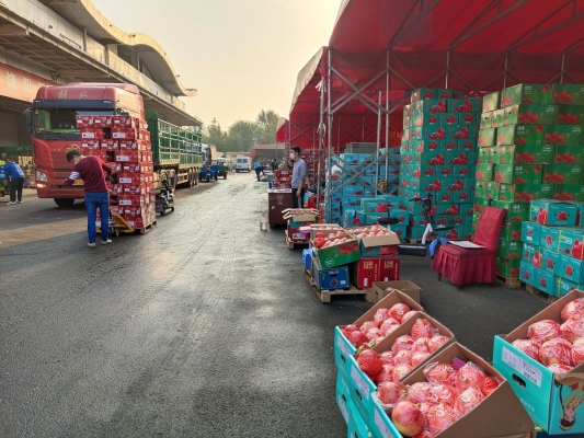 赤峰市區(qū)送貨上門(mén)電話號(hào)碼-第1張圖片