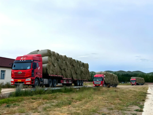 赤峰30萬機組電廠電話號碼-第1張圖片