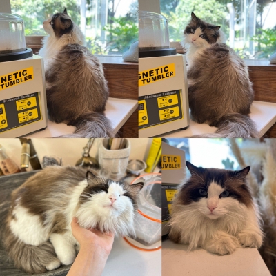 赤峰銀飾 店鋪電話號碼查詢-第1張圖片