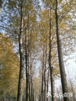 赤峰市金信駕校電話地址-第1張圖片