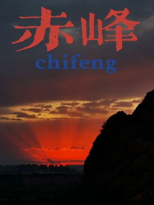 赤峰全通配送運(yùn)單查詢-第1張圖片