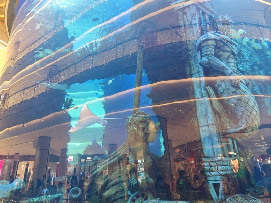 赤峰海洋館-第1張圖片