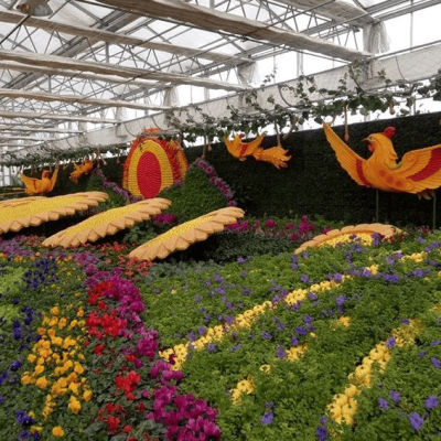 赤峰采摘園在什么地方-第1張圖片