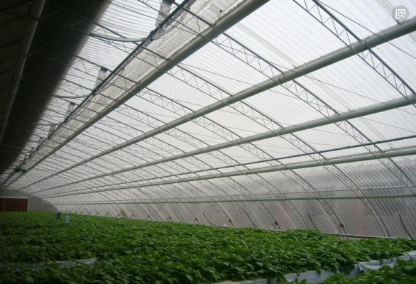 赤峰旋切板廠地址電話號(hào)碼-第1張圖片