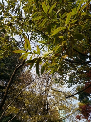 赤峰市小橘子攝影電話號(hào)碼-第1張圖片