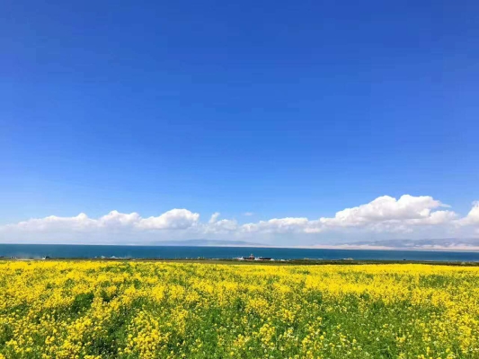 林東去赤峰拼車群電話號碼-第1張圖片