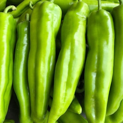 赤峰辣椒烘干廠電話號碼查詢-第1張圖片