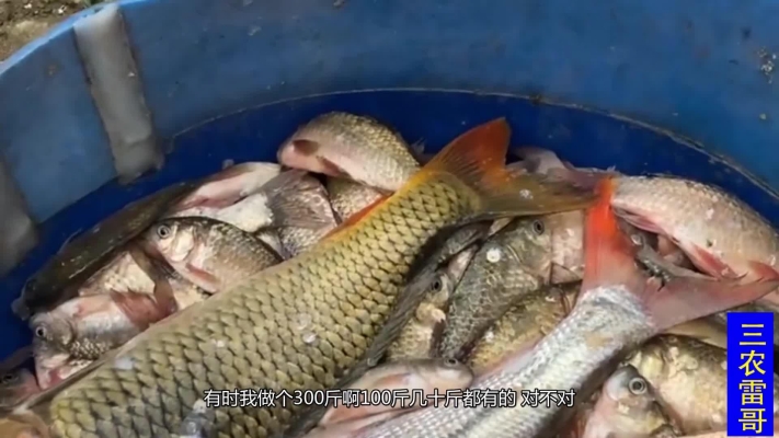 赤峰市場賣豬肉的電話號碼-第1張圖片