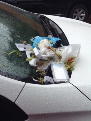 赤峰彩虹橋汽車隨車電話號碼-第1張圖片