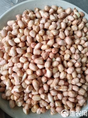 赤峰市粽子批發(fā)電話號碼-第1張圖片