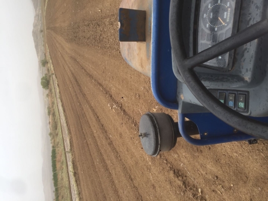 赤峰油菜種植基地電話號(hào)碼-第1張圖片