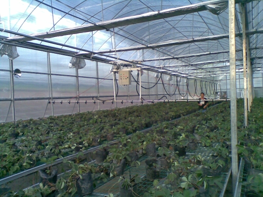 赤峰噴灌廠家電話地址查詢號碼-第1張圖片