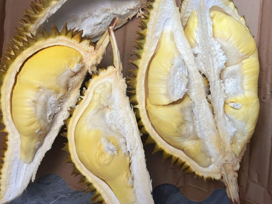 赤峰榴蓮盲盒廠家電話號碼-第1張圖片