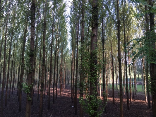 赤峰回寧城路況查詢電話是多少-第1張圖片