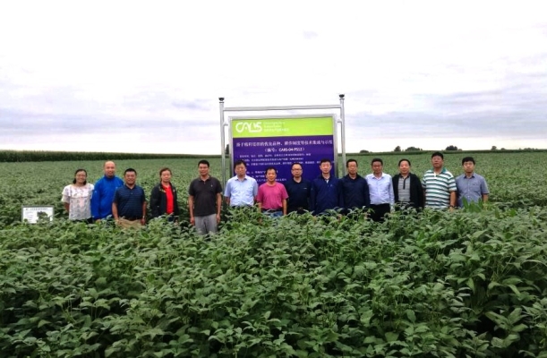 赤峰賣大豆的蔡老板電話號碼-第1張圖片