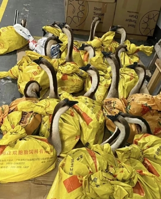 赤峰庫(kù)存車直播間電話號(hào)碼-第1張圖片