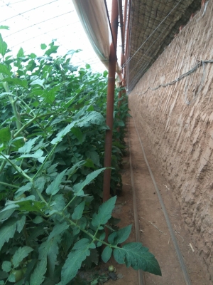 赤峰大城子街道電話號碼是多少-第1張圖片