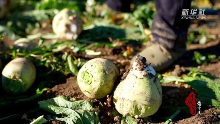 赤峰麥兜自拍館地址電話號碼-第1張圖片