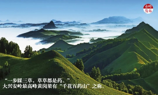 赤峰定制撲克店電話號碼查詢-第1張圖片