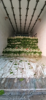 赤峰馬蹄溝芹菜基地電話號碼-第1張圖片