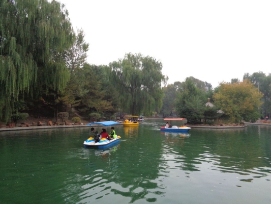赤峰植物園團購電話號碼-第1張圖片