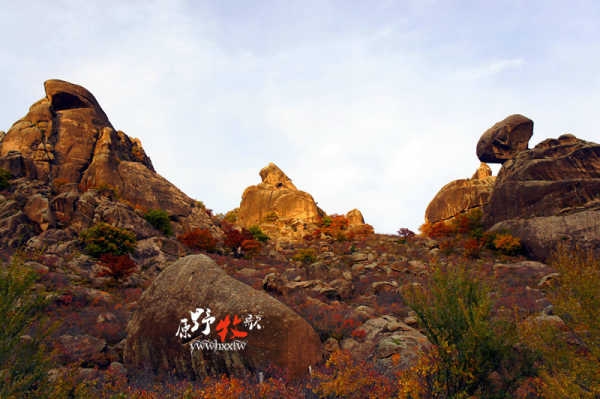 赤峰原野餐吧電話多少號-第1張圖片