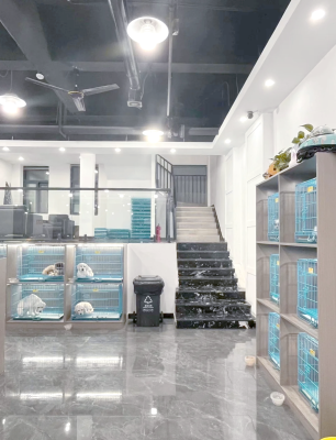 赤峰犬類養(yǎng)殖基地-第1張圖片