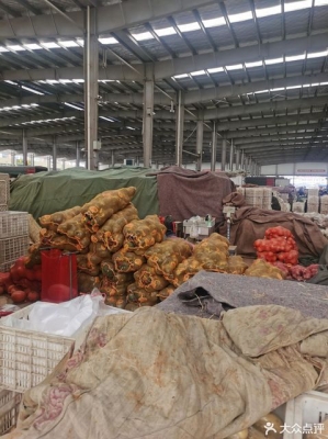 赤峰小型夏堇批發(fā)電話號碼-第1張圖片