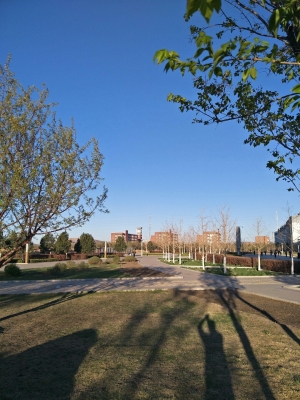 赤峰平莊大席飯店電話號(hào)碼-第1張圖片