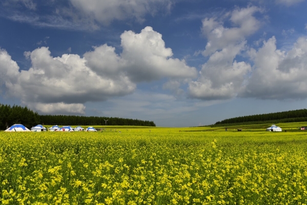 赤峰寧城施肥管理處電話號碼-第1張圖片