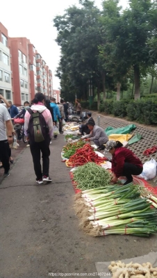 赤峰市早市攤位招商電話號碼-第1張圖片