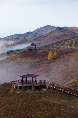 赤峰龍?jiān)纯蜅ｋ娫捥柎a多少-第1張圖片