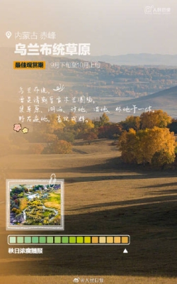 赤峰胡楊林音樂餐廳電話號碼-第1張圖片