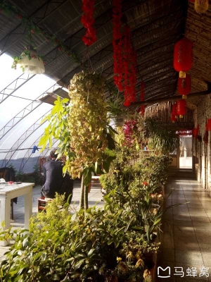 赤峰小酒窩飯店電話號碼查詢-第1張圖片